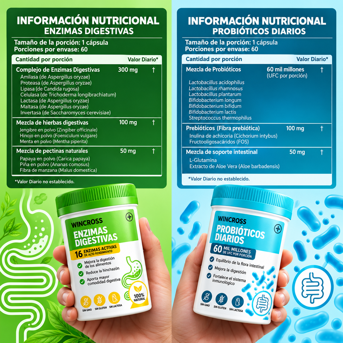 Probioticos digestivos