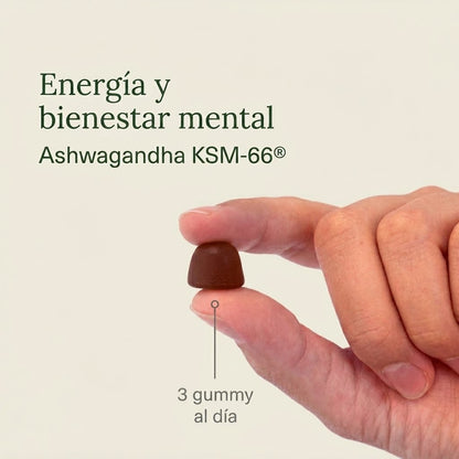 Ashwa Gummies